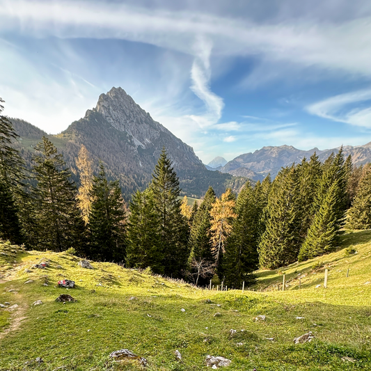Hike & Fly am Großen Pyhrgas – Ein Traum wird wahr