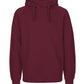 Paracider Hoodie