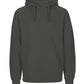 Paracider Hoodie