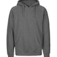 Paracider Hoodie