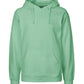 Paracider Hoodie
