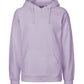 Paracider Hoodie