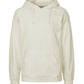 Paracider Hoodie