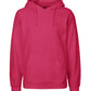 Paracider Hoodie