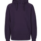Paracider Hoodie