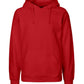 Paracider Hoodie
