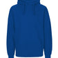 Paracider Hoodie