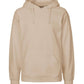 Paracider Hoodie