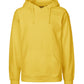 Paracider Hoodie